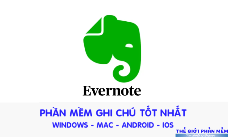 EVERLOGO 768x462